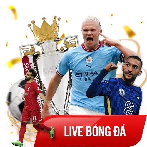 fun88-live-bong-da